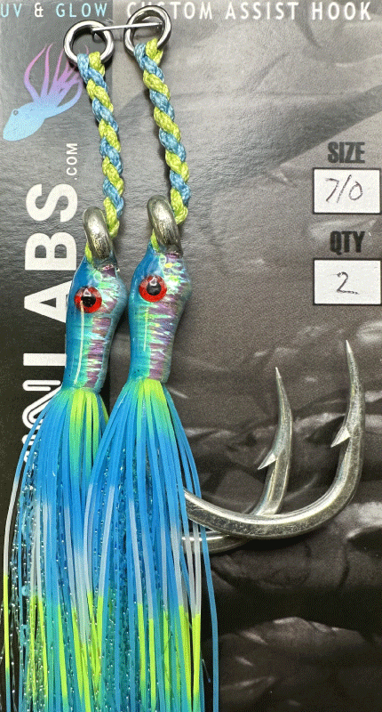 11313 fish hook pl gibsonton 33534 Blue/green sardine #1 – Glokin Labs