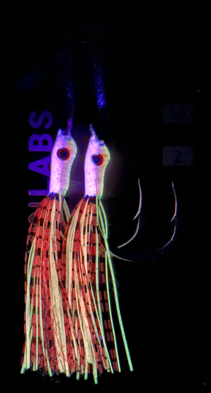 Hot pink sardine #27 – Glokin Labs Hot pink sardine #27 – Glokin Labs
